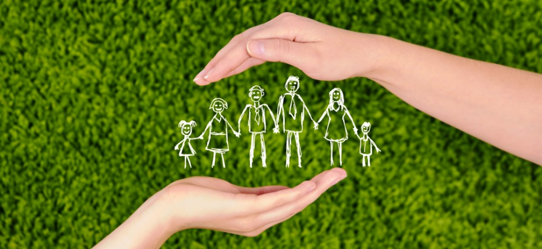 &Omicron;&iota;&kappa;&omicron;&gamma;&epsilon;&nu;&epsilon;&iota;&alpha;&kappa;ή &Zeta;&omega;ή